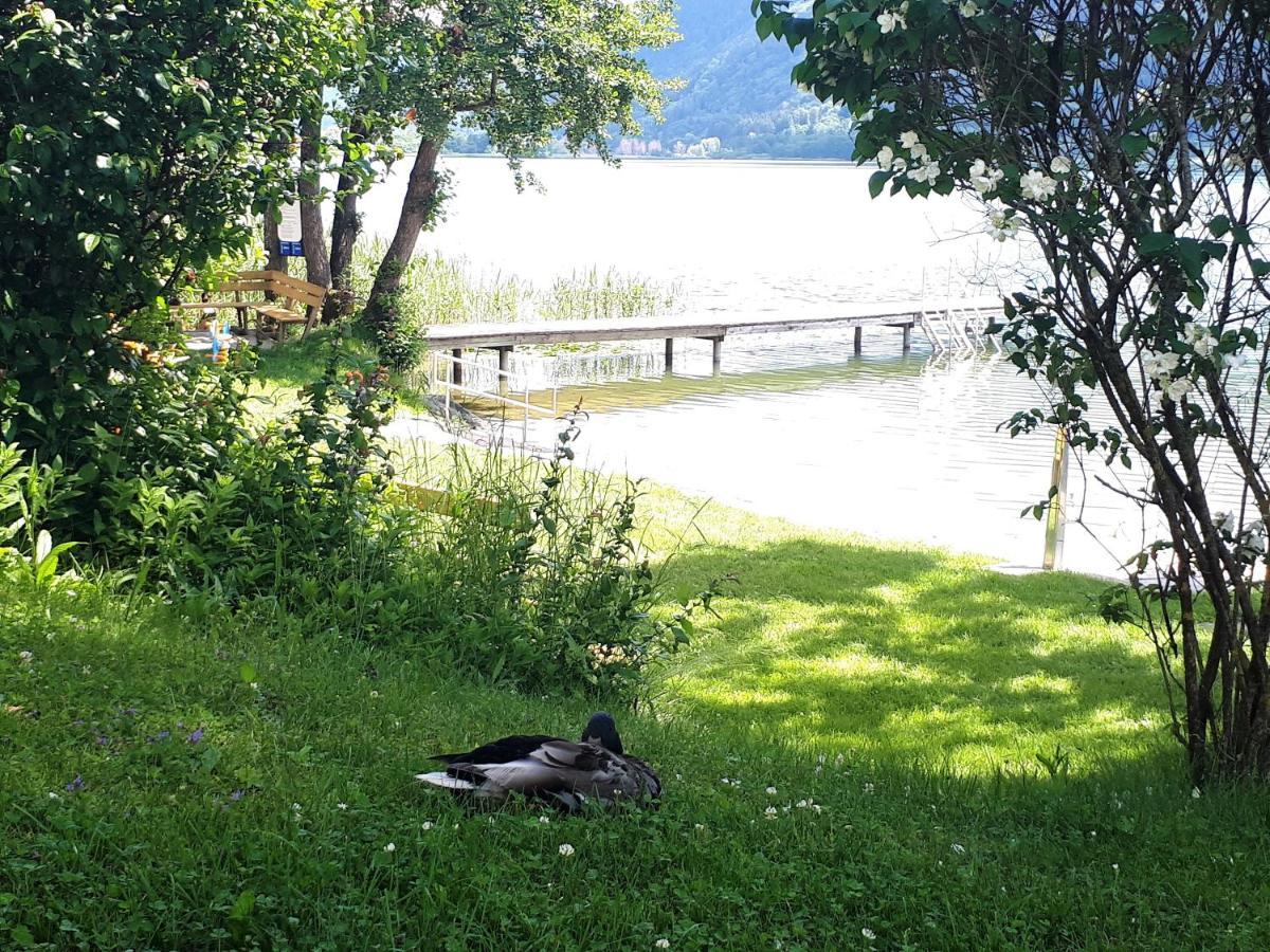 Anna Seeblick Appartement, Haus Haensel&Gretel Am Ossiachersee Mit Direktem Seezugang, Hallenbad بودينسدورف المظهر الخارجي الصورة